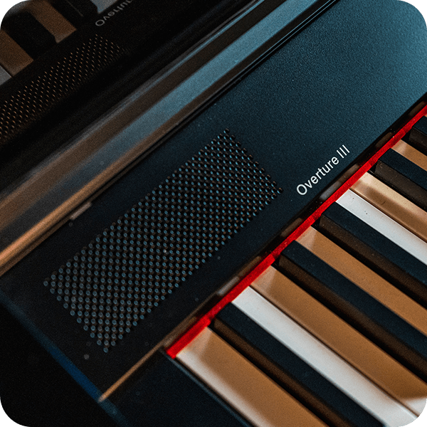 Williams Overture III digital console piano speaker close up.