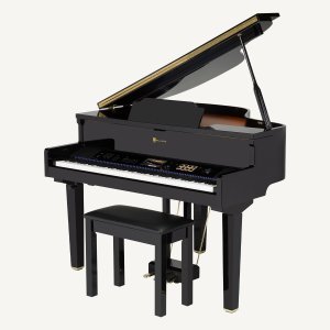 Williams Symphony Concert Grand Digital Piano