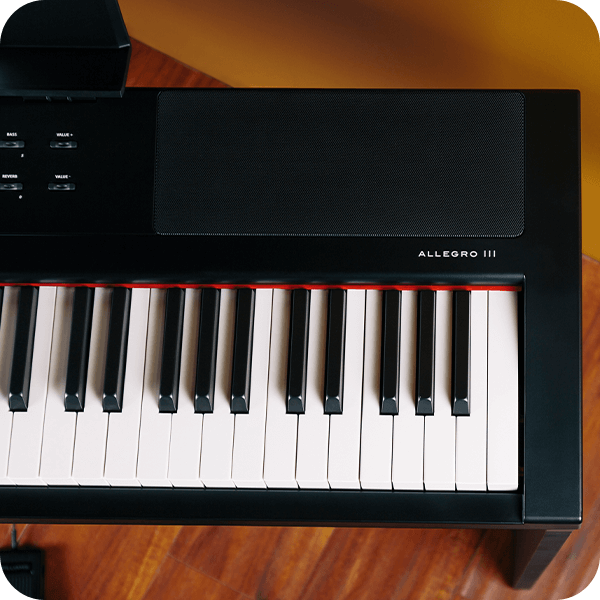 Williams Allegro III digital piano speakers.