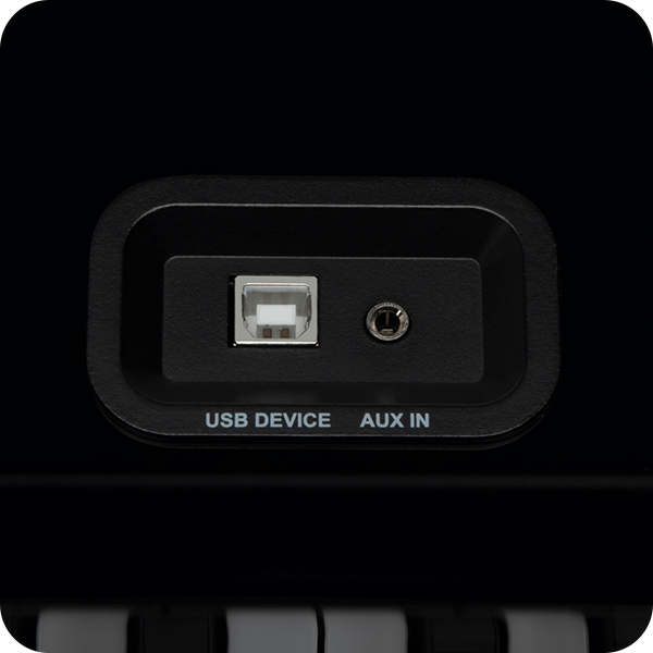 Williams Rhapsody III digital piano USB& AUX IN close up.
