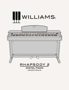Williams Rhapsody 2 Manual