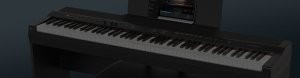 Williams Allegro IV digital piano.